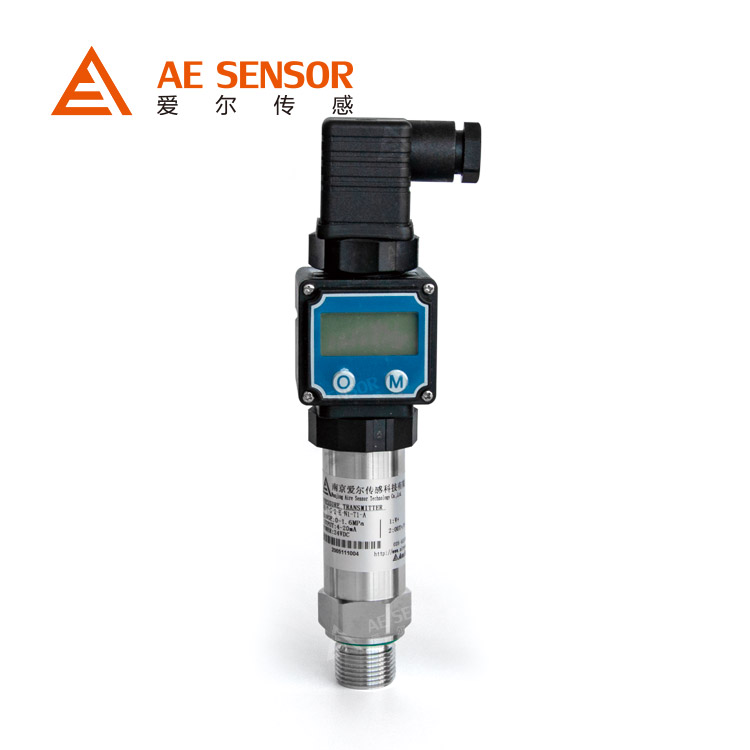AE-T 带显示压力变送器